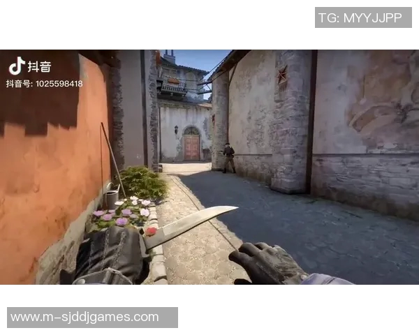 探索刘敏的CSGO人生背后的故事与成长历程